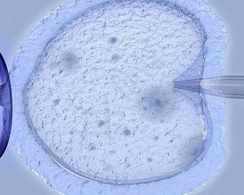 代妈协和医院试管婴儿相关知识详细介绍并总结