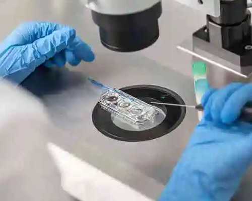 姐妹们代妈天子助孕中心怎么样？有人在那里做过吗