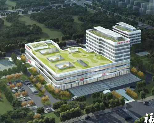 代妈试管包生男孩是真的吗？,代妈广大医院怎么样呢靠谱吗是三甲的吗？求问