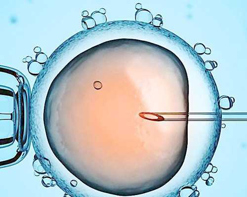 3万找私人重庆代妈 1重庆七星岗试管的价格多少，5万元够吗? ‘胎心看男女准确