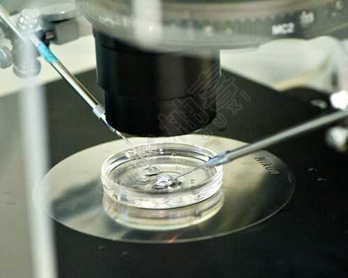 急找重庆代妈 重庆市妇幼保健院第三代试管包生男孩价格多少? ‘怀孕一百天看