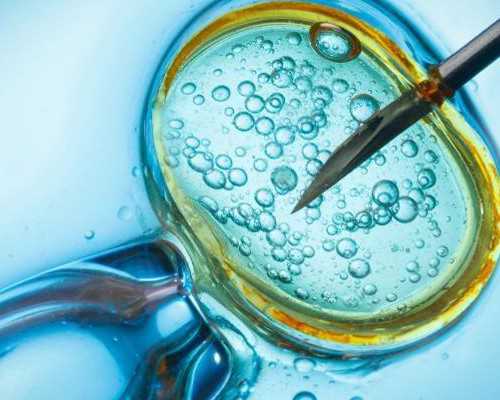 代妈北大医院第三代试管筛查染色体多少钱？,北大代妈医院试管三代前期检查