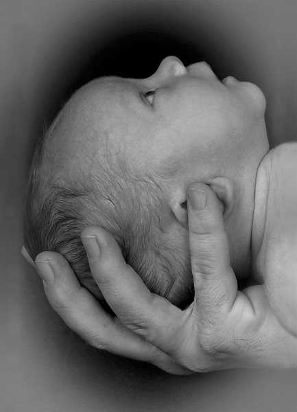 供卵中心排名_哪个医院可以供卵_2020年1岁9个月宝宝智力发育标准